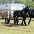 Ames Plantation Hosts 20th Annual Heritage Festival